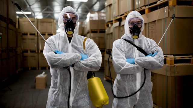 Pest Control Service 